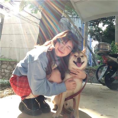 顾少的隐婚小娇妻