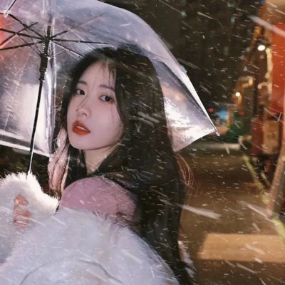 我的朋友是萌鲨