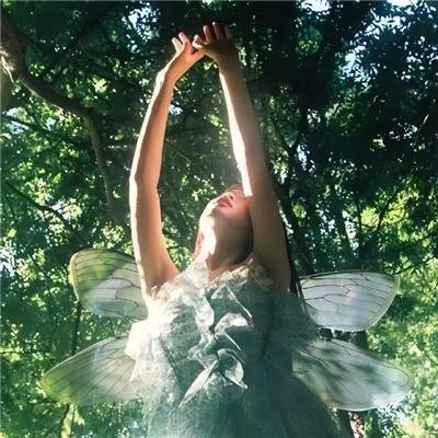 从你的全世界路过